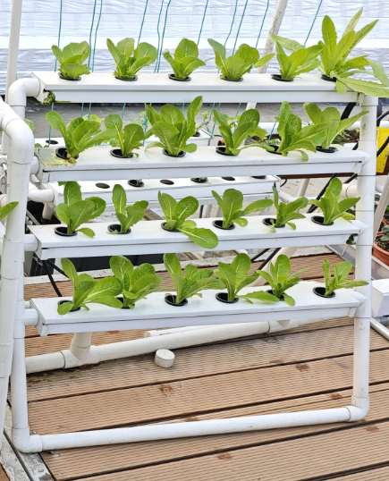 Hydroponic Nft Channel - МИНИ- 24-лунтовая вертикальная гидропонная система, гидропонная