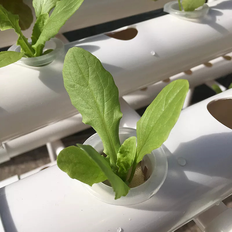 Прямые поставки с завода: 3-сл – обзор и цена Hydroponic Nft Channel