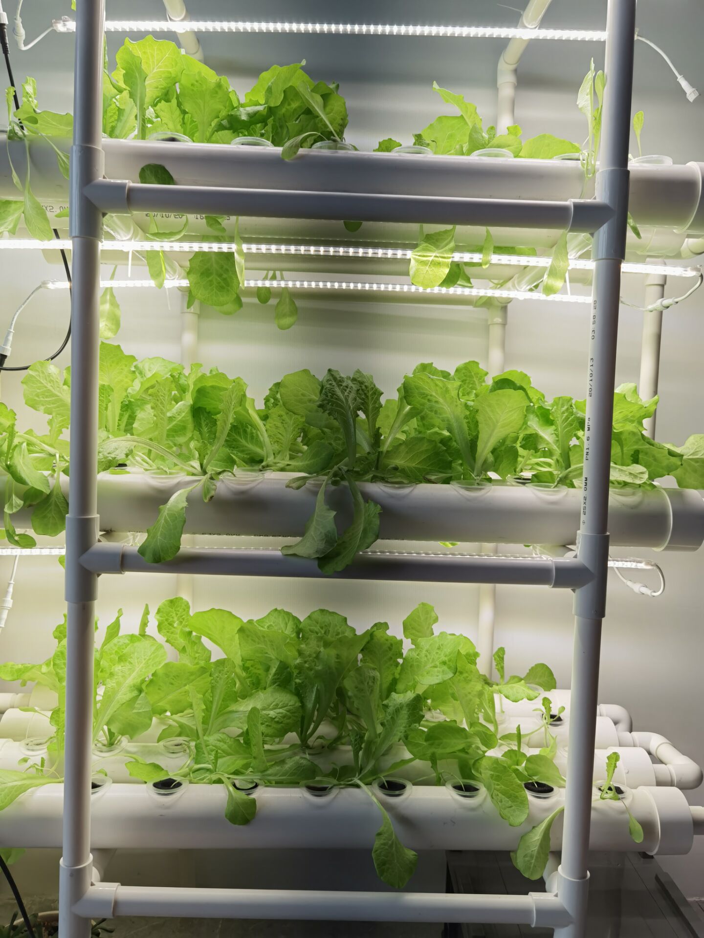 Прямые поставки с завода: 3-сл – обзор и цена Hydroponic Nft Channel