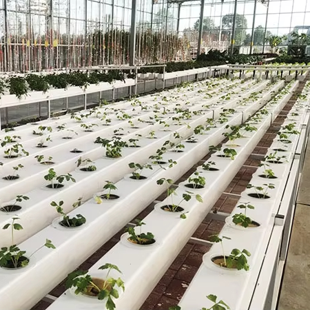 Коммерческие гидропонные систе – обзор и цена Hydroponic Nft Channel