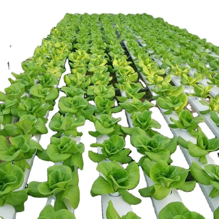 Производство производит вертик – обзор и цена Hydroponic Nft Channel