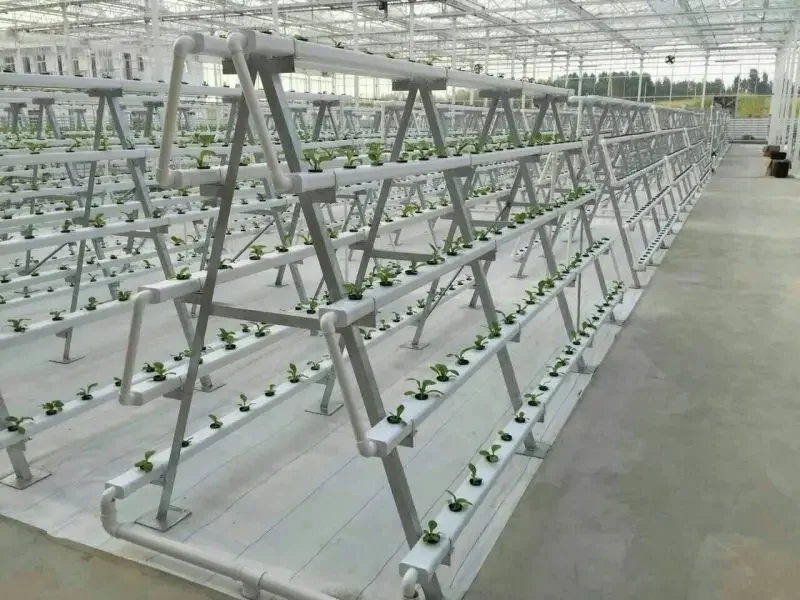 Производство производит вертик – обзор и цена Hydroponic Nft Channel