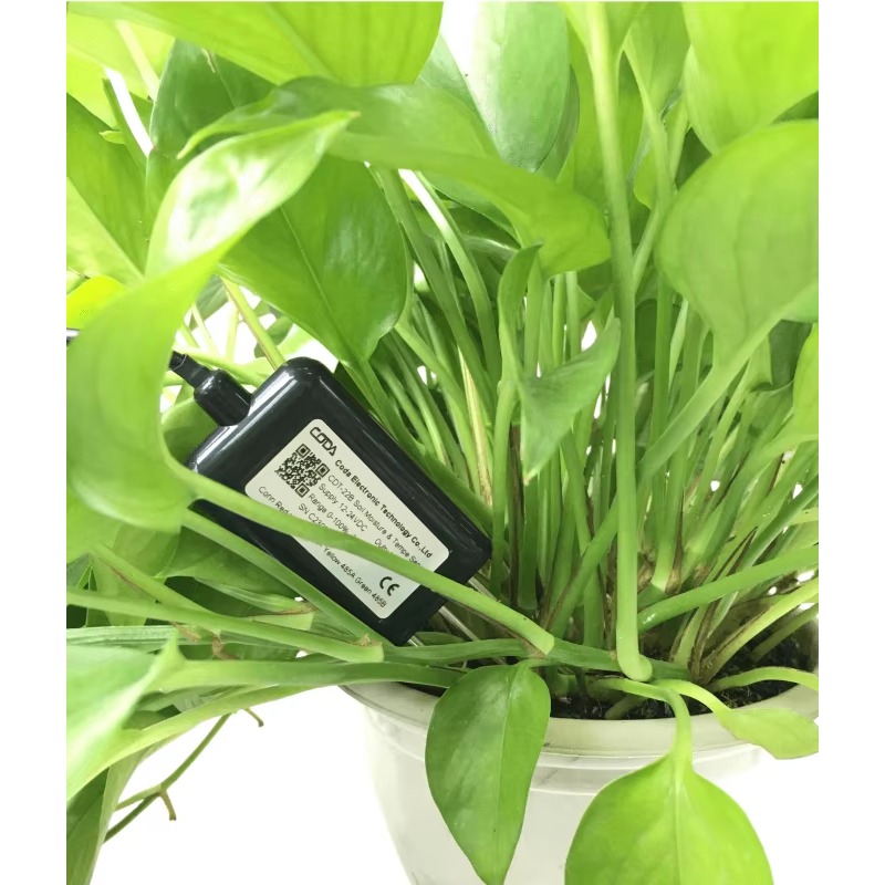 CDT-30B Rs485 0-2 В выходной д – обзор и цена Soil Moisture Sensor